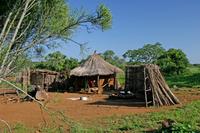 Another Nsongwe Hut